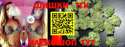 индика Обь
